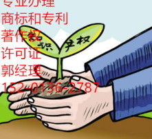 數(shù)字時(shí)代的視覺盛宴 高清圖片與網(wǎng)絡(luò)文化經(jīng)營的融合與發(fā)展